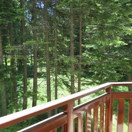 Apartament Park Nr 216